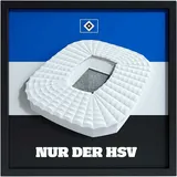 HSV Armband HSV Fanbox