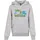 Mister Tee Star Wars Colorful Logo Kapuzenpullover Heather Grey 146-152 cm