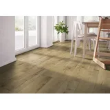 128,5 x 19,2 cm oak light natural