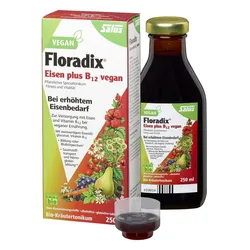 Floradix Eisen plus B12 vegan BIO-Tonikum