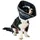 CANDIOLI The Comfy Cone Schutzkragen Schwarz 14 cm