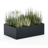Herstera Garden Cube Low XL Plus 150 x 100 x 50 cm Anthrazit