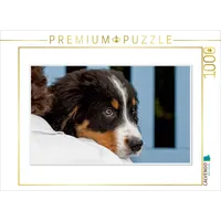 Calvendo Ein Motiv aus dem Kalender Emotionale Momente: Berner