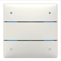 Theben Tastsensor LUXORliving iON4