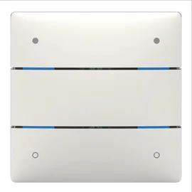 Theben Tastsensor LUXORliving iON4