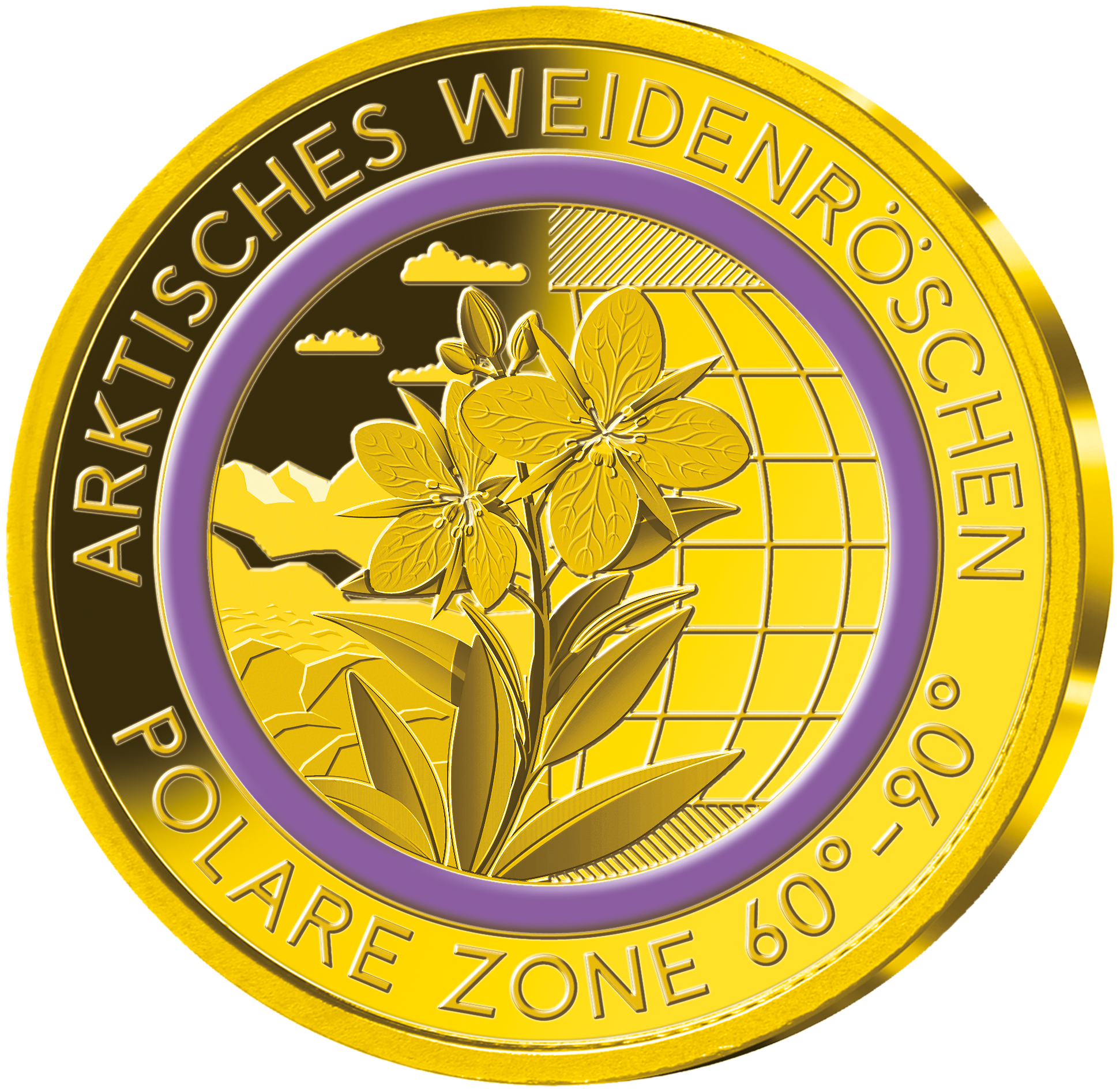 Die Gold-Gedenkprägung „Arktisches Weidenröschen – polare Zone“ mit violettem Farbring
