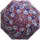 Cedon Easy Umbrella Anemone