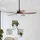 Beacon Lighting Louisville 158 cm Deckenventilator Braun