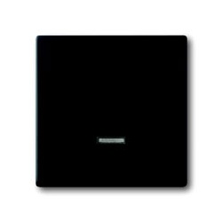 Bedienelement für z.B. Tastdimmer (schwarz matt)