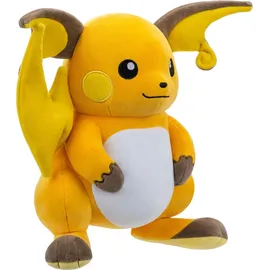 Pokémon Raichu