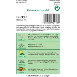Samen Pfann Einlegegurke, Diamant F1 | Einlegegurkensamen von Samen Pfann