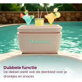 POLARBOX Kühlbox Classic 20 l
