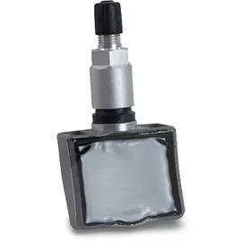 SCHRADER Radsensor, Reifendruck-Kontrollsystem SCHRADER 3042