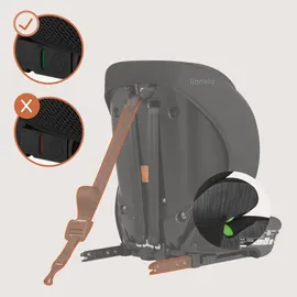lionelo Levi Fix i-Size Grau
