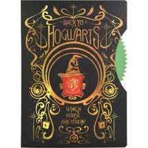 Blue Sky Research BlueSky Notizbuch Harry Potter - Spinner DIN A5 liniert, mehrfarbig Hardcover 80 Seiten, 1 St.