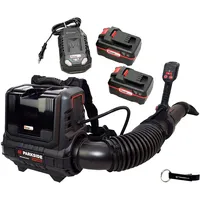 Parkside PPRLBA 40 inkl. 2 x 4,0 Ah