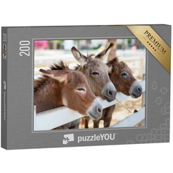 puzzleYOU Puzzle Drei neugierige Esel am Zaun, 200 Puzzleteile, puzzleYOU-Kollektionen 48 Teile, Schwierig, 500 Teile, 1000 Teile