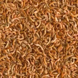 Tetra Gammarus 1 l