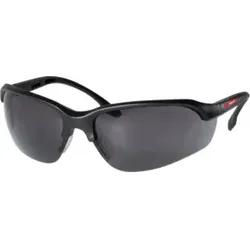 Holex Schutzbrille, Scheibentönung: GREY