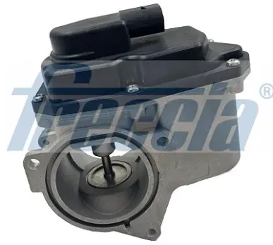 FRECCIA AGR-Ventil egr12123 für VW