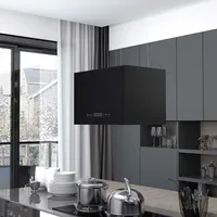 vidaXL Hängende Inselhaube 55 cm Beschichteter Stahl