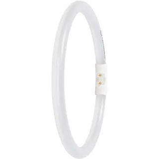 LEDVANCE Osram 4099854300820 LEDT5 FC22 EXT p 11.6W 840 2GX13 LED-Tube