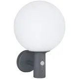 GLOBO RGB LED Wandleuchte Bewegungsmelder Gartenleuchte Edelstahl Fassadenleuchte, Glaskugel weiß anthrazit, App Steuerung, Smart