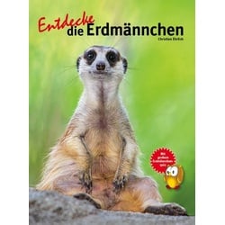 Entdecke die Erdmännchen