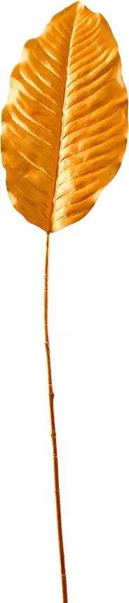 Dieffenbachia Blatt 93cm 4St. orange