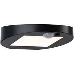 Outdoor Solar Wandleuchte Ryse IP443000K 100lm Bewegungsmelder Anthrazit