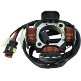 P2R Zündungsstator für Moto Beta 50 RR 2005 bis 2012