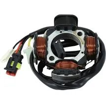 P2R Zündungsstator für Moto Beta 50 RR 2005 bis 2012
