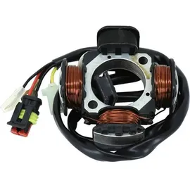P2R Zündungsstator für Moto Beta 50 RR 2005 bis 2012