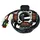 P2R Zündungsstator für Moto Beta 50 RR 2005 bis 2012
