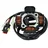 P2R Zündungsstator für Moto Beta 50 RR 2005 bis 2012