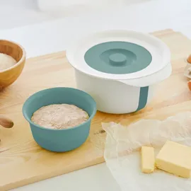 Rotho Rührschüssel Fresh 4 l mit Zusatzbehälter 1,2 l mistletoe grün