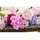 Decoris Kunstblumen Hortensie mit Stiel 66cm künstliche Seidenblumen Dekoblumen Blumendeko Weiß
