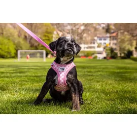 Curli Clasp Vest Hundegeschirr Pink S