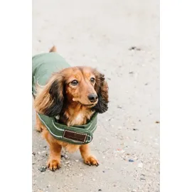 Kentucky 300g grün XL