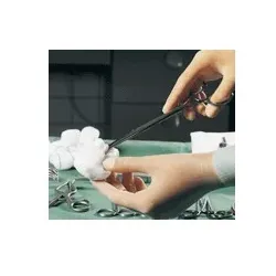 GAZIN Tupfer pflaumengr.unsteril o.RK 1000 St Tupfer