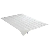 IRISETTE Edda leicht 155 x 220 (cm):