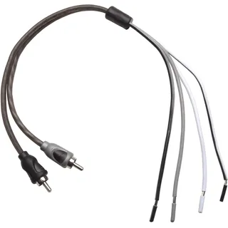 Rockford Fosgate RFI2SW