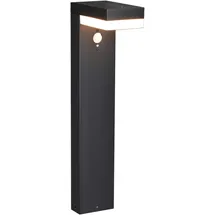 LED's light Wegeleuchte Solar 3,3 W 600 lm inkl. Bewegungsmelder IP44 schwarz