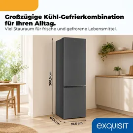 Exquisit KGC380-115-NF-040A Kühl-Gefrierkombination (377 l, 2005 mm hoch, Silber)