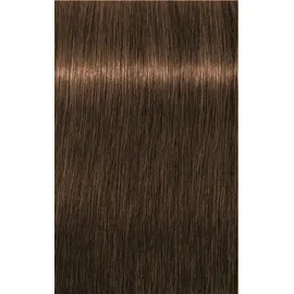 Schwarzkopf Professional Igora Royal Absolutes 6-60 dunkelblond schoko natur 60 ml