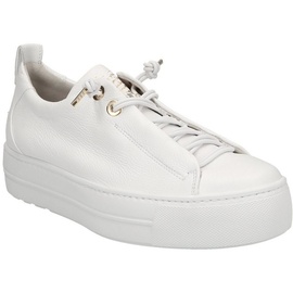 Paul Green 5017 white 40