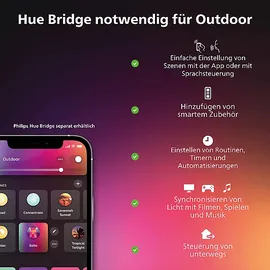 Philips Hue Outdoor Netzteil 100W DE+AT