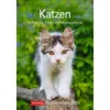 Katzen Wochenplaner 2025 - 53 Blatt mit Zitaten und Wochenchronik