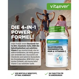 Vit4ever Glucosamin Chondroitin MSM Tabletten 365 St.