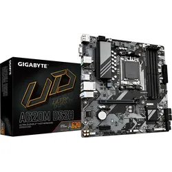 GIGABYTE A620M DS3H Mainboard